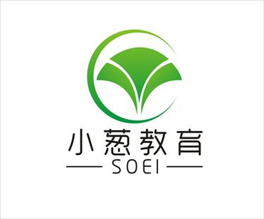 聚焦上海小葱教育投资 理性布局教育赛道的机遇与挑战